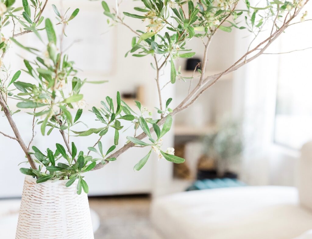 intérieur printemps