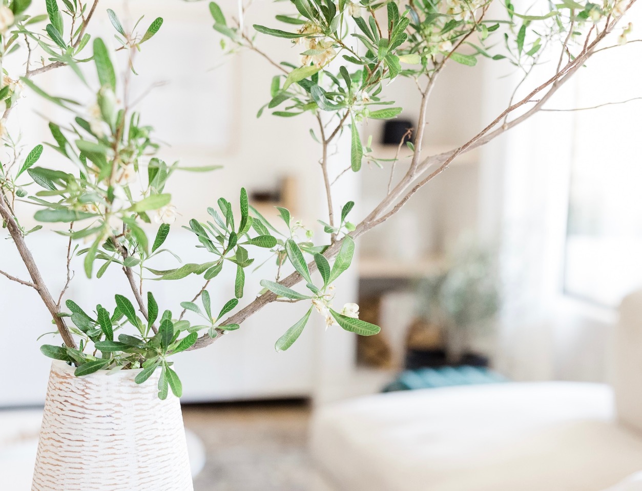 Comment sublimer et rafraîchir votre intérieur au printemps ?